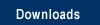 downloads button