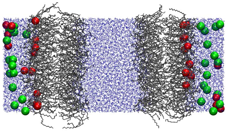 Salt-induced asymmetry