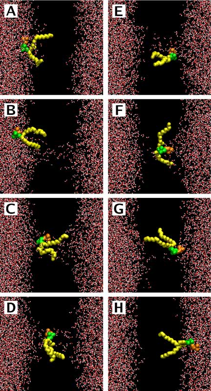 Ion-induced flip-flop