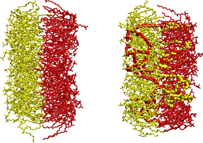 monolayers' mixing up1