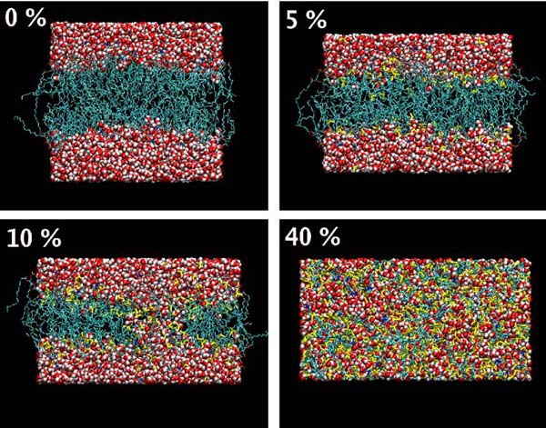 Membrane with DMSO