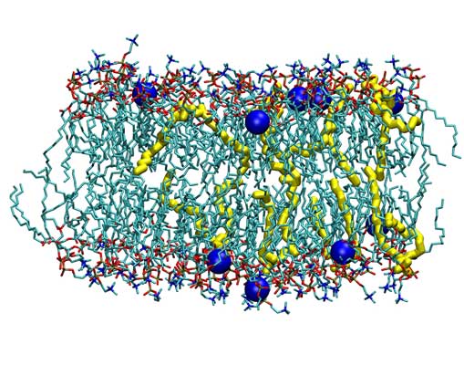 Cationic membrane with salt