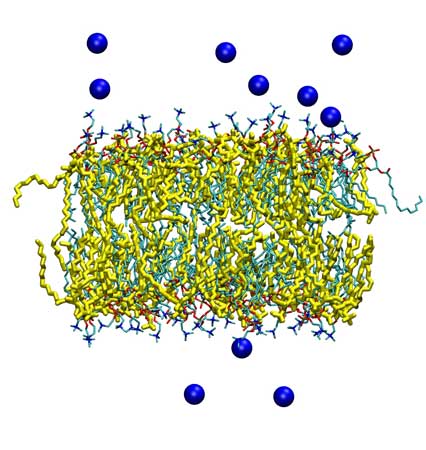 Cationic membrane with salt
