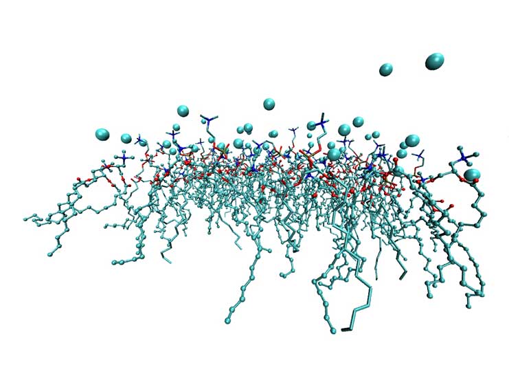 Cationic membrane